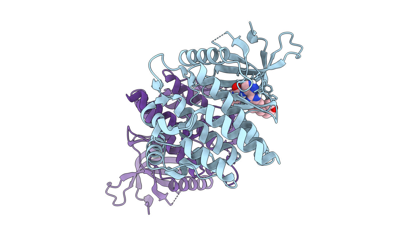 2W1I image