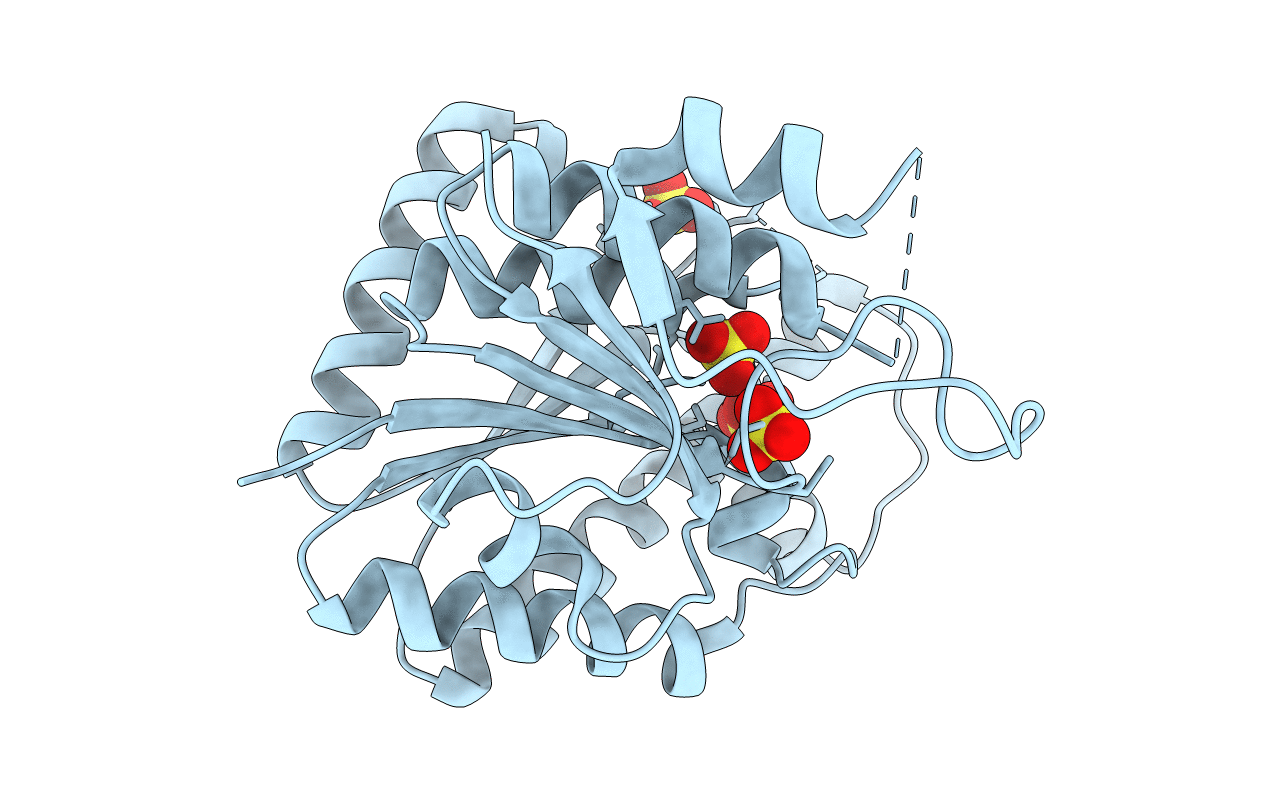 2W21 image