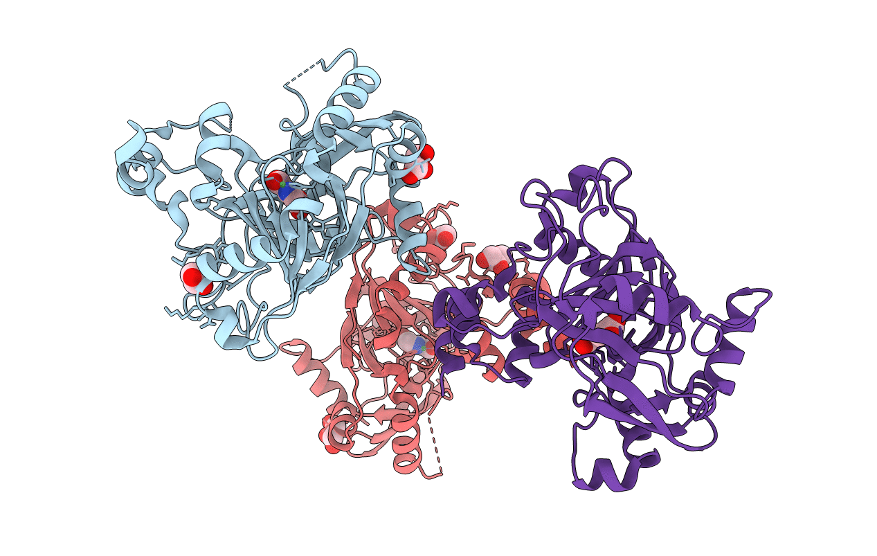 2W2I image