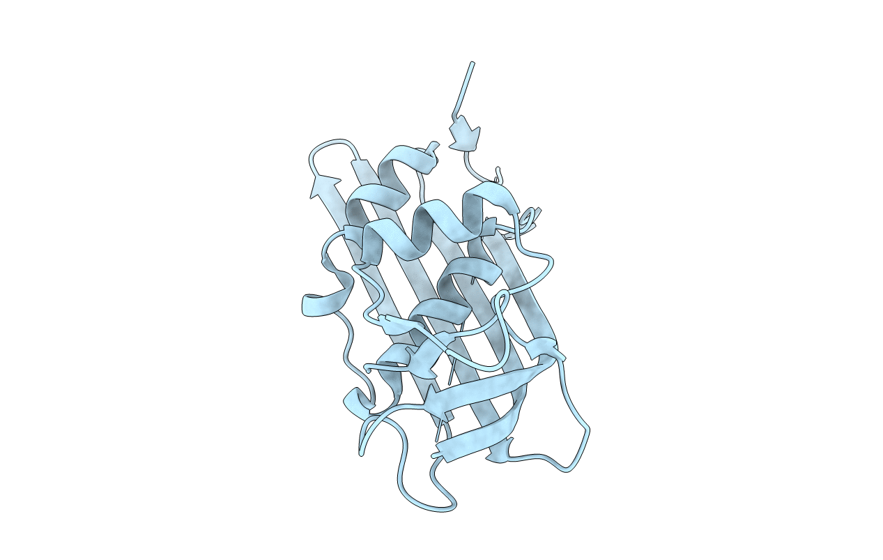 2W2S image