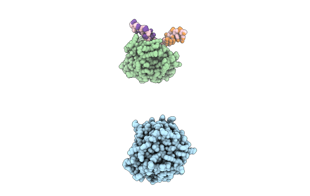 2W35 image