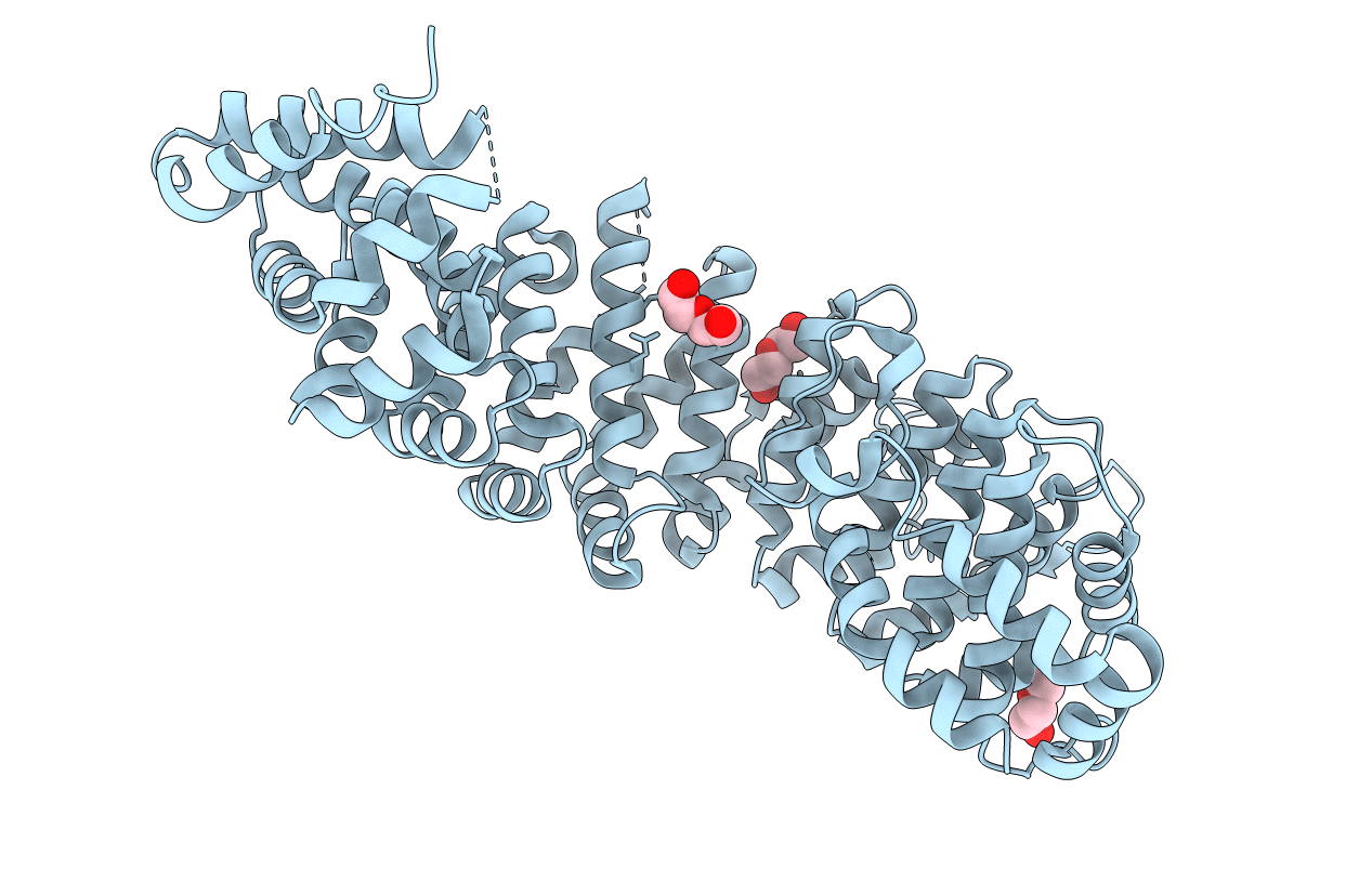2W3C image