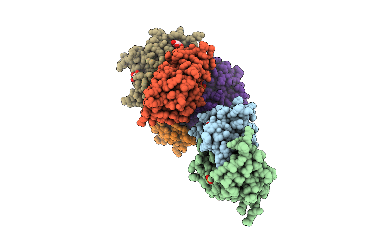 2W3X image