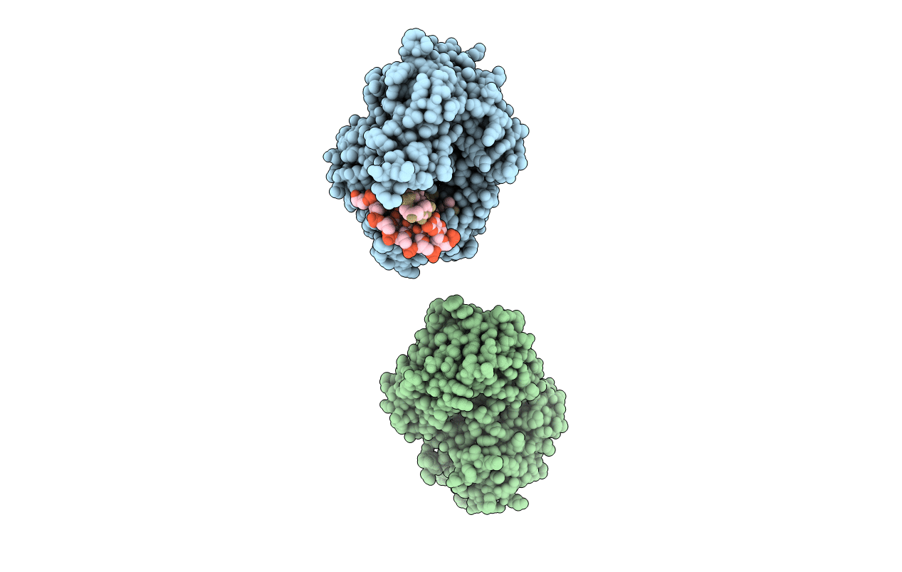 2W42 image