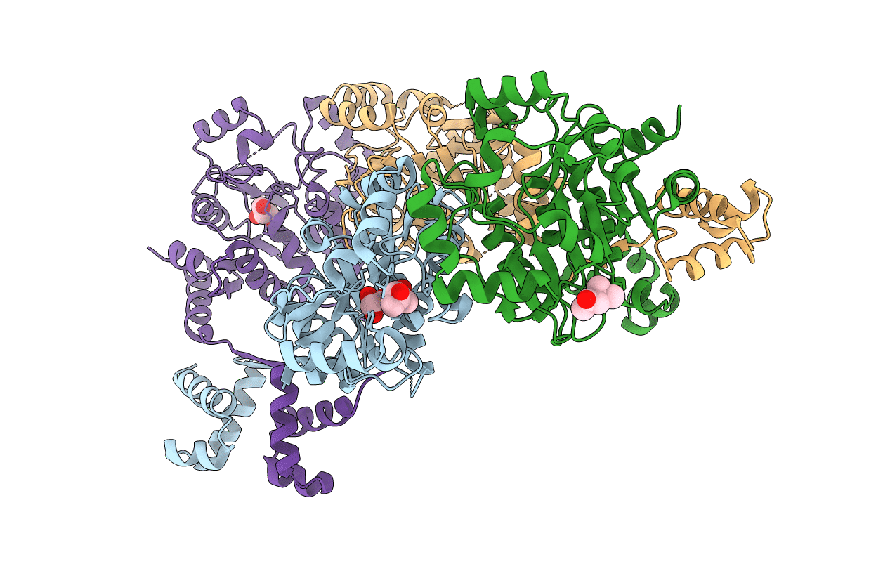 2W48 image