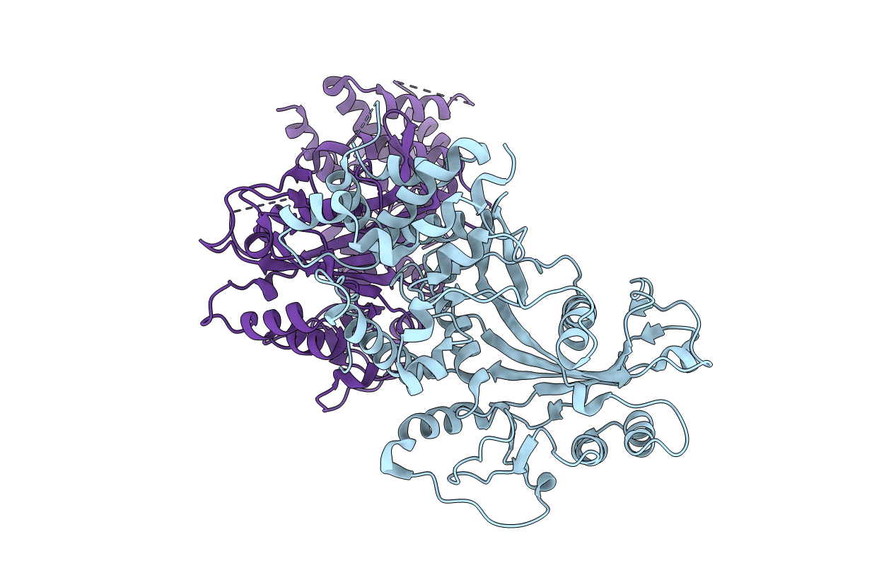 2W4B image