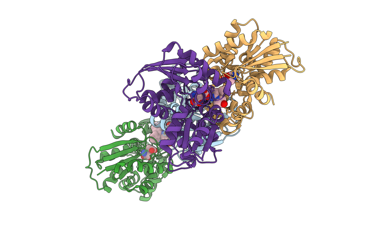 2W4I image