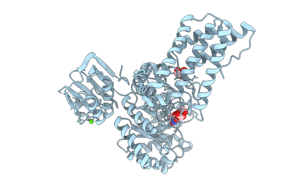 2W4X image
