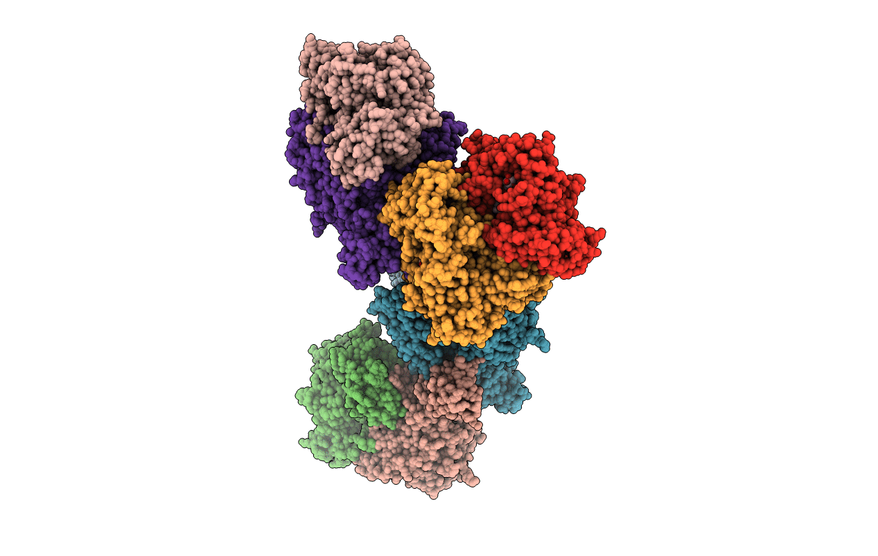 2W54 image