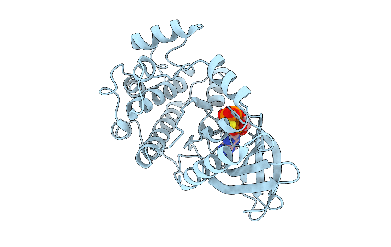 2W5B image