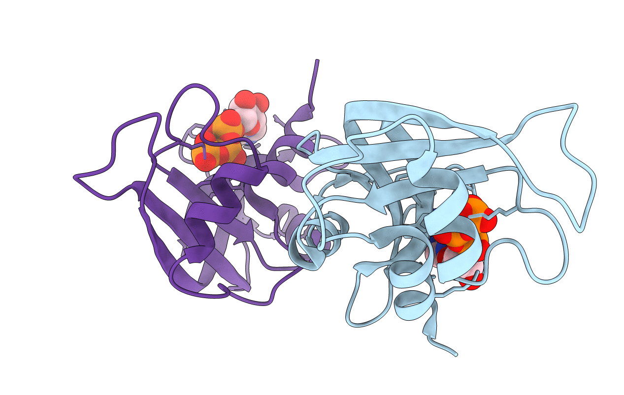 2W5I image