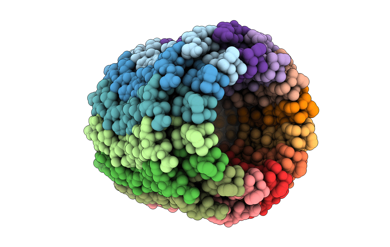 2W5J image