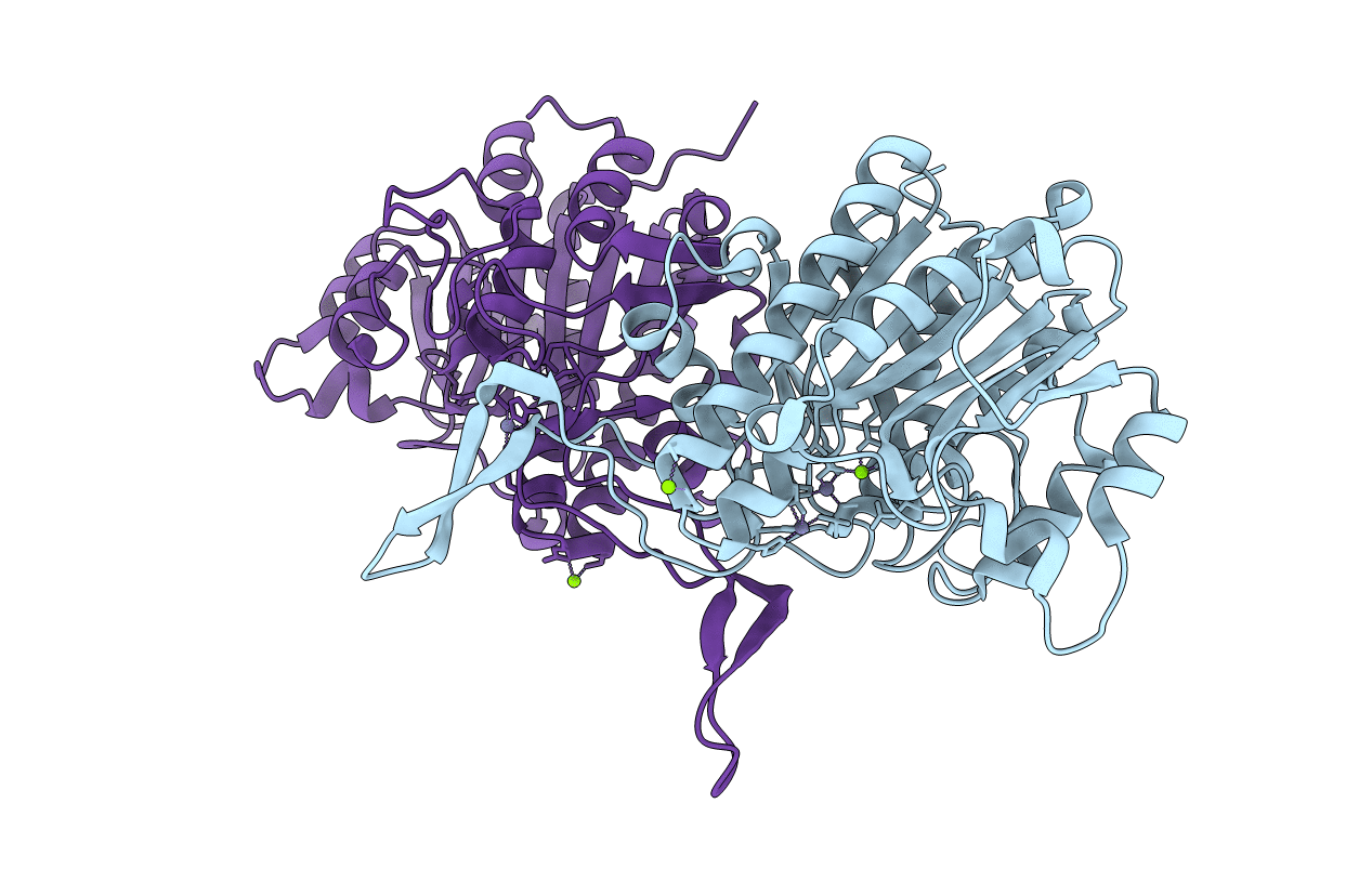 2W5X image