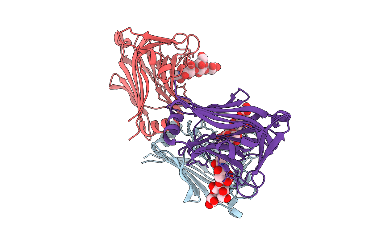 2W68 image