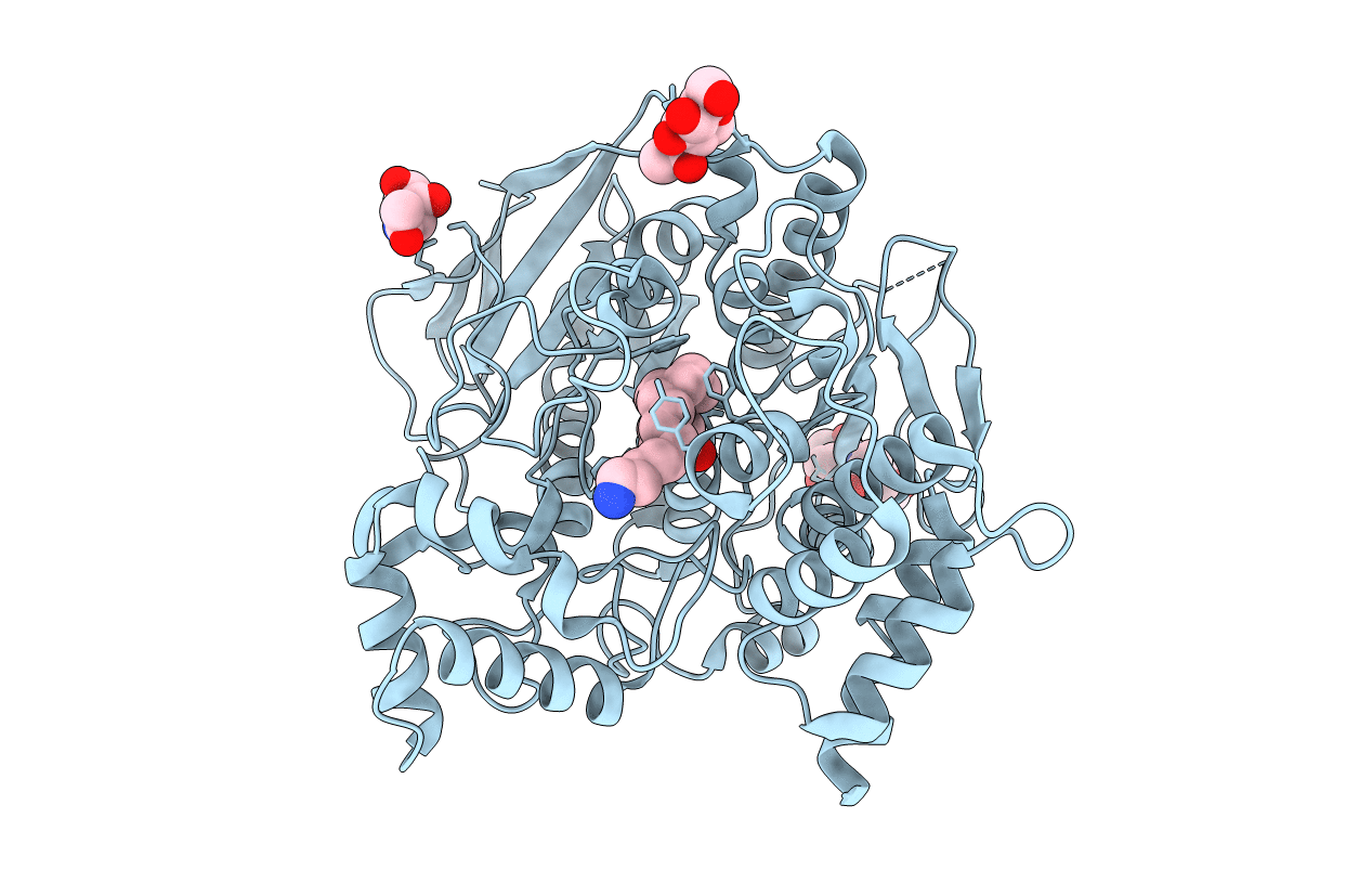 2W6C image