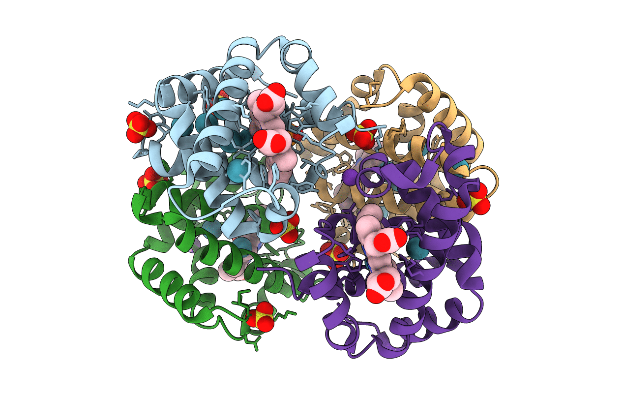 2W72 image