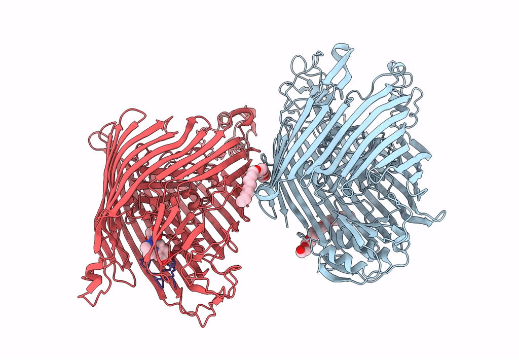 2W77 image