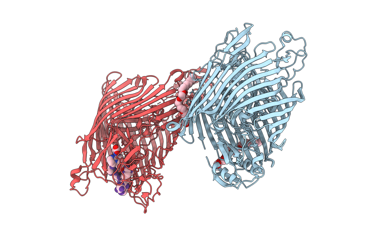 2W78 image