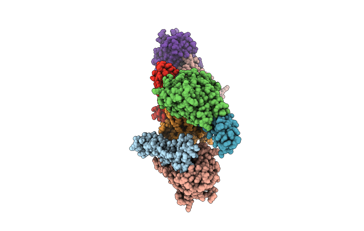2W80 image