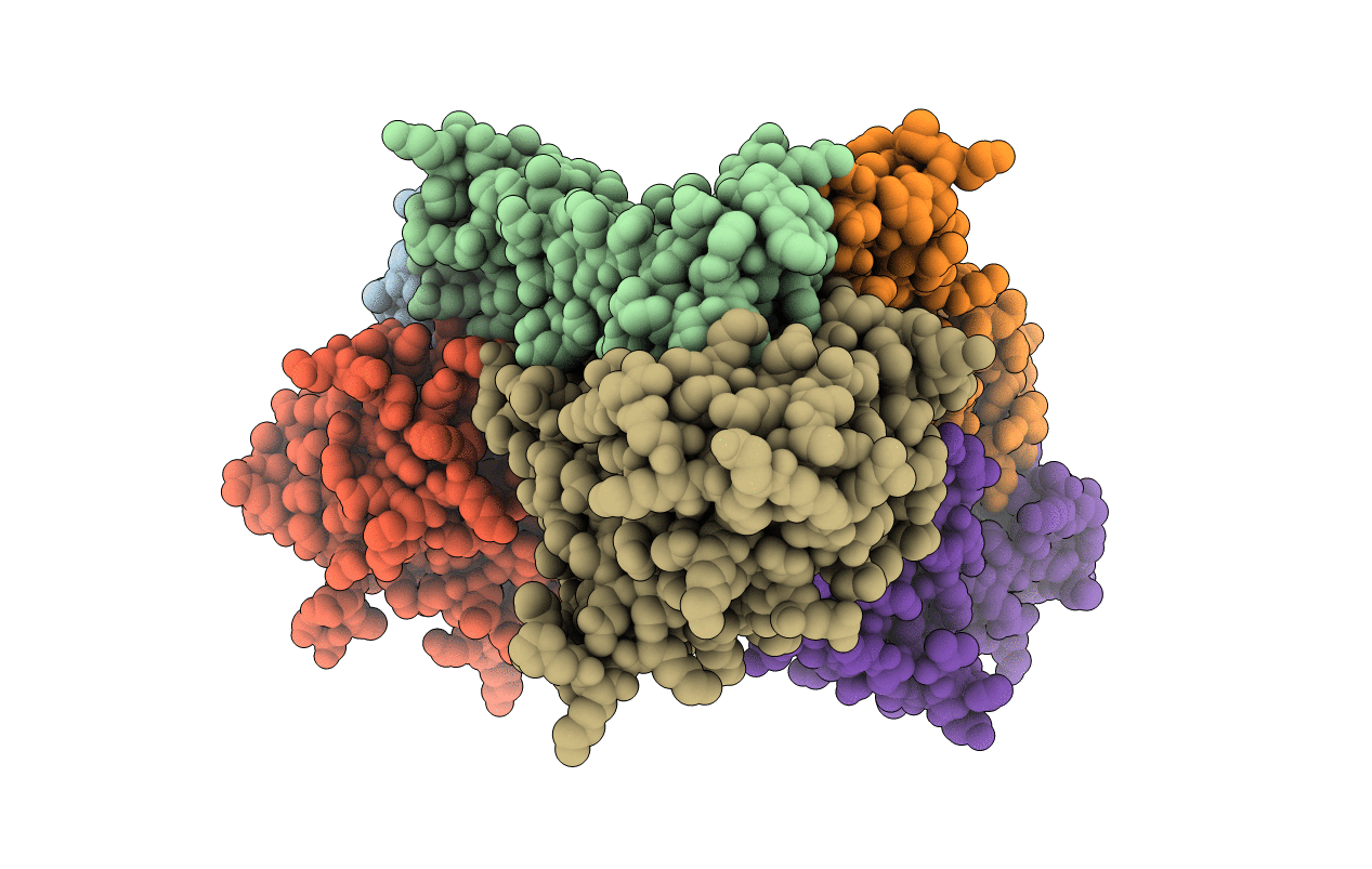 2W81 image