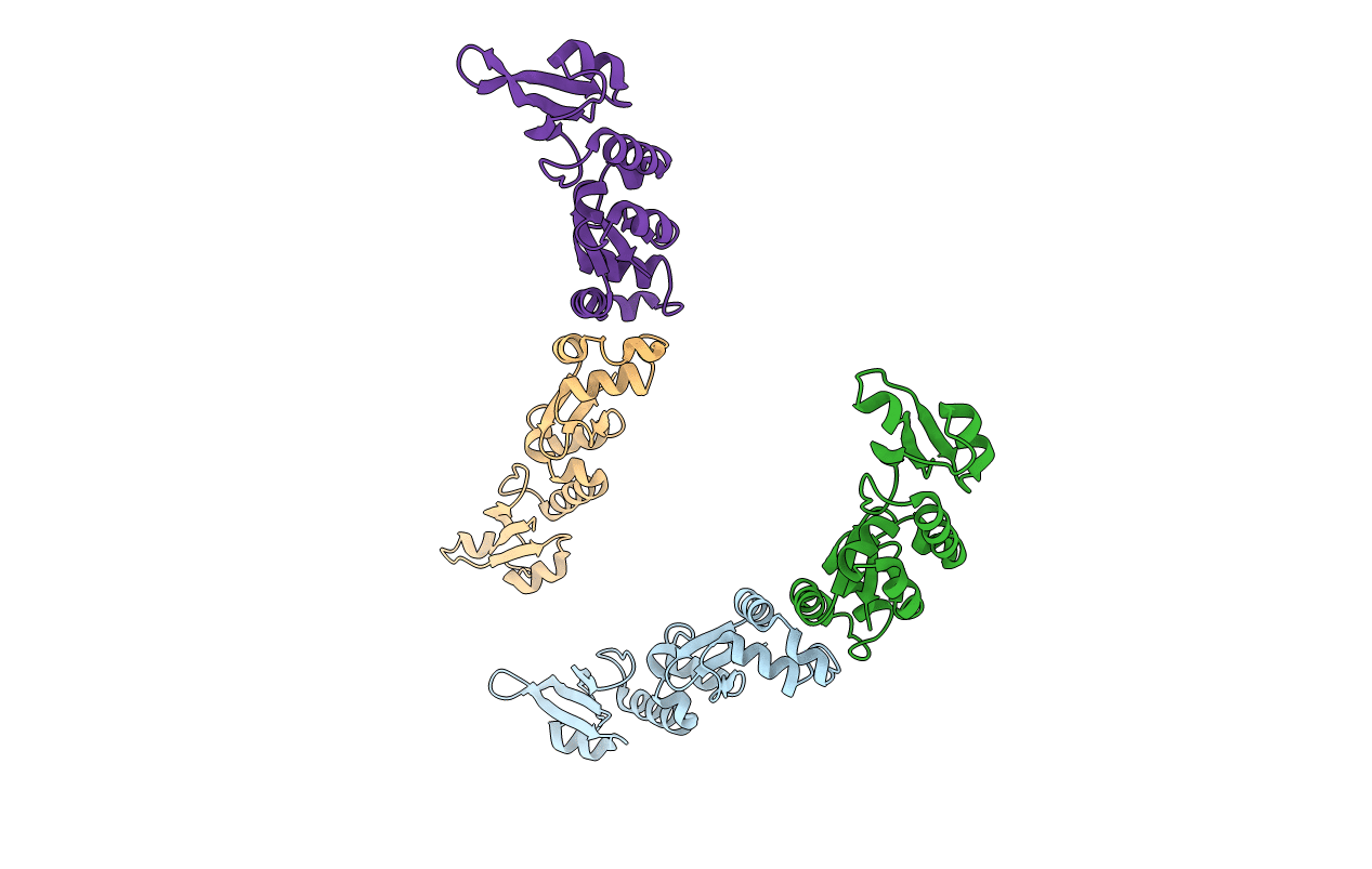 2W82 image