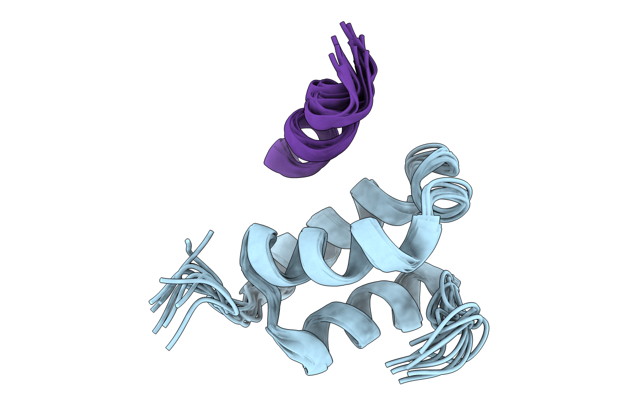2W85 image