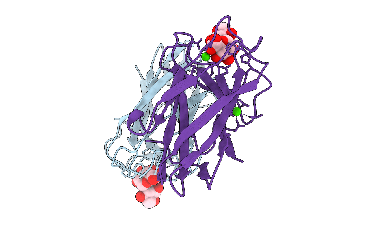 2W87 image