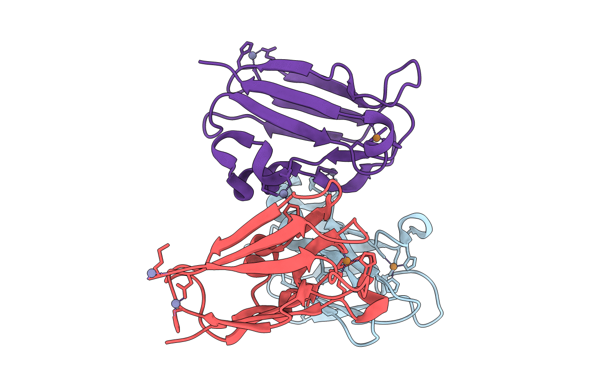 2W88 image