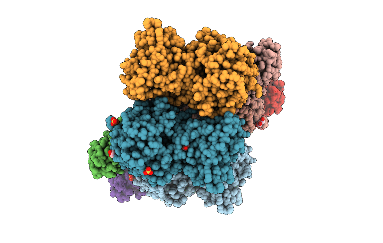 2W8B image