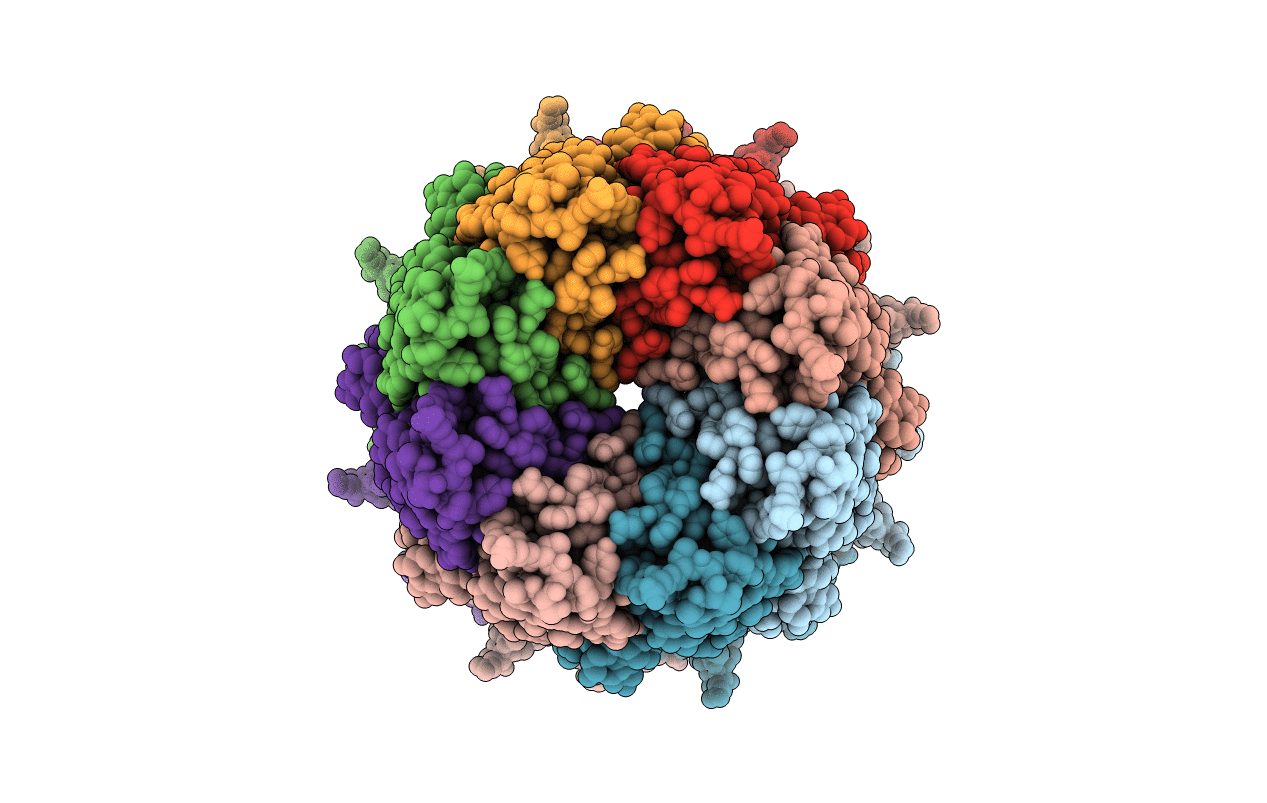 2W8I image