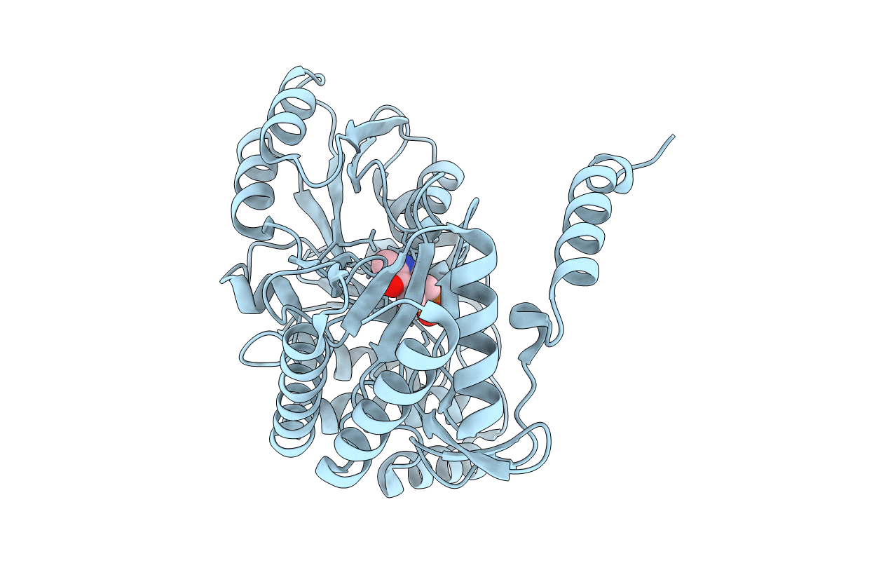 2W8V image