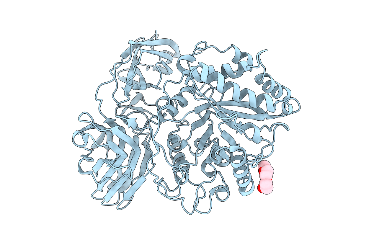 2W91 image