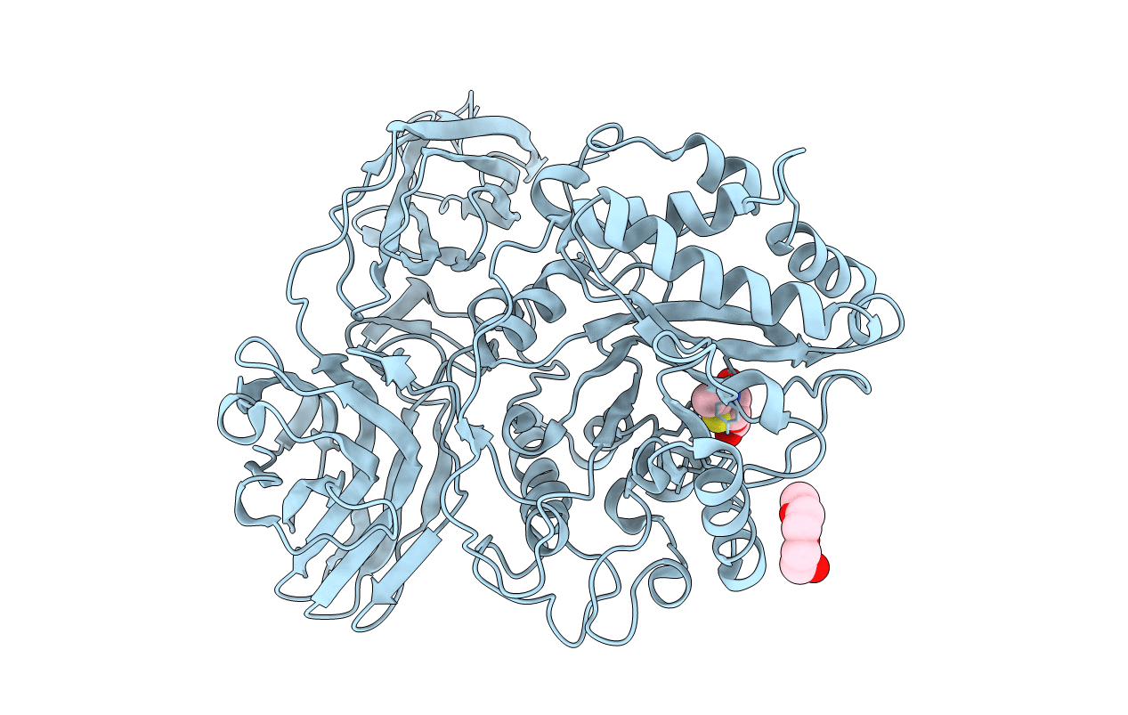 2W92 image