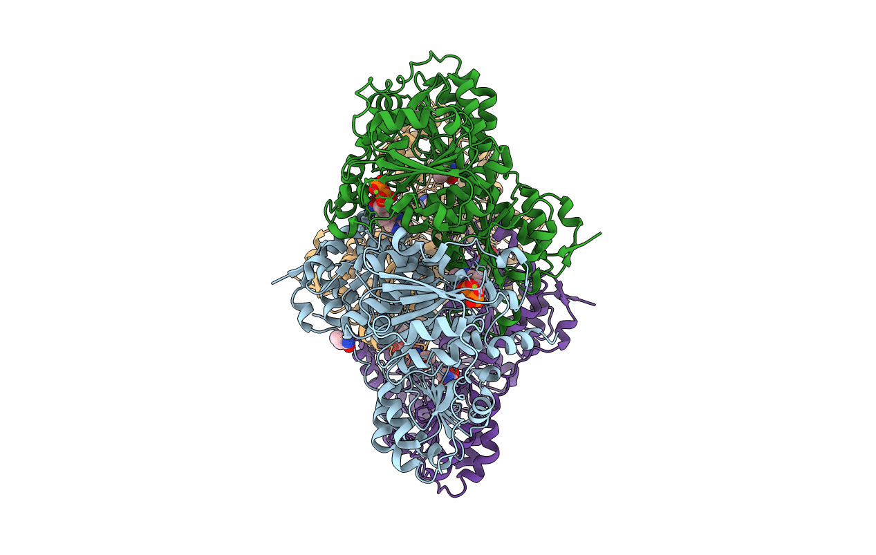 2W93 image
