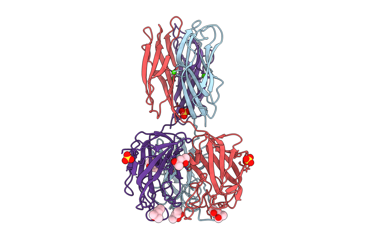 2W94 image