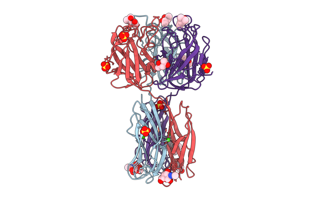 2W95 image