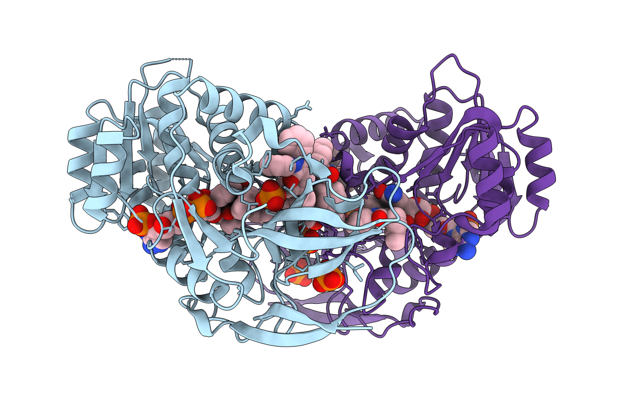 2W98 image