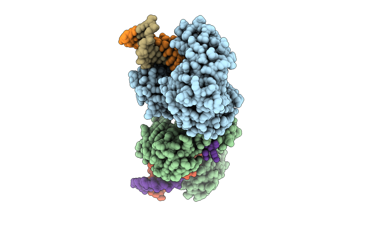 2W9B image