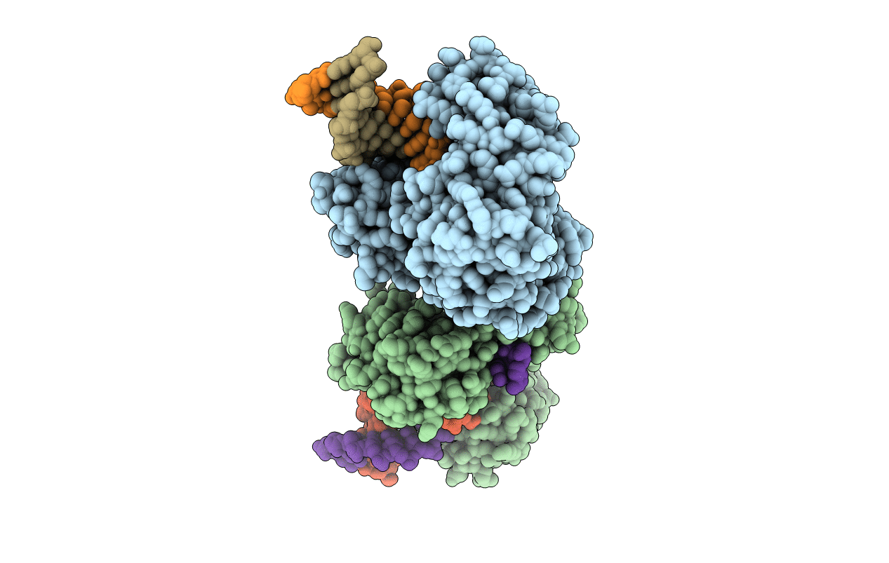 2W9C image