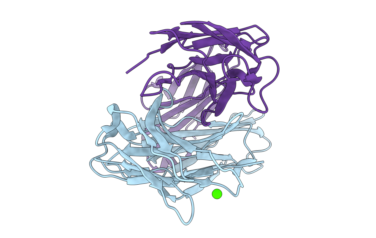 2W9D image