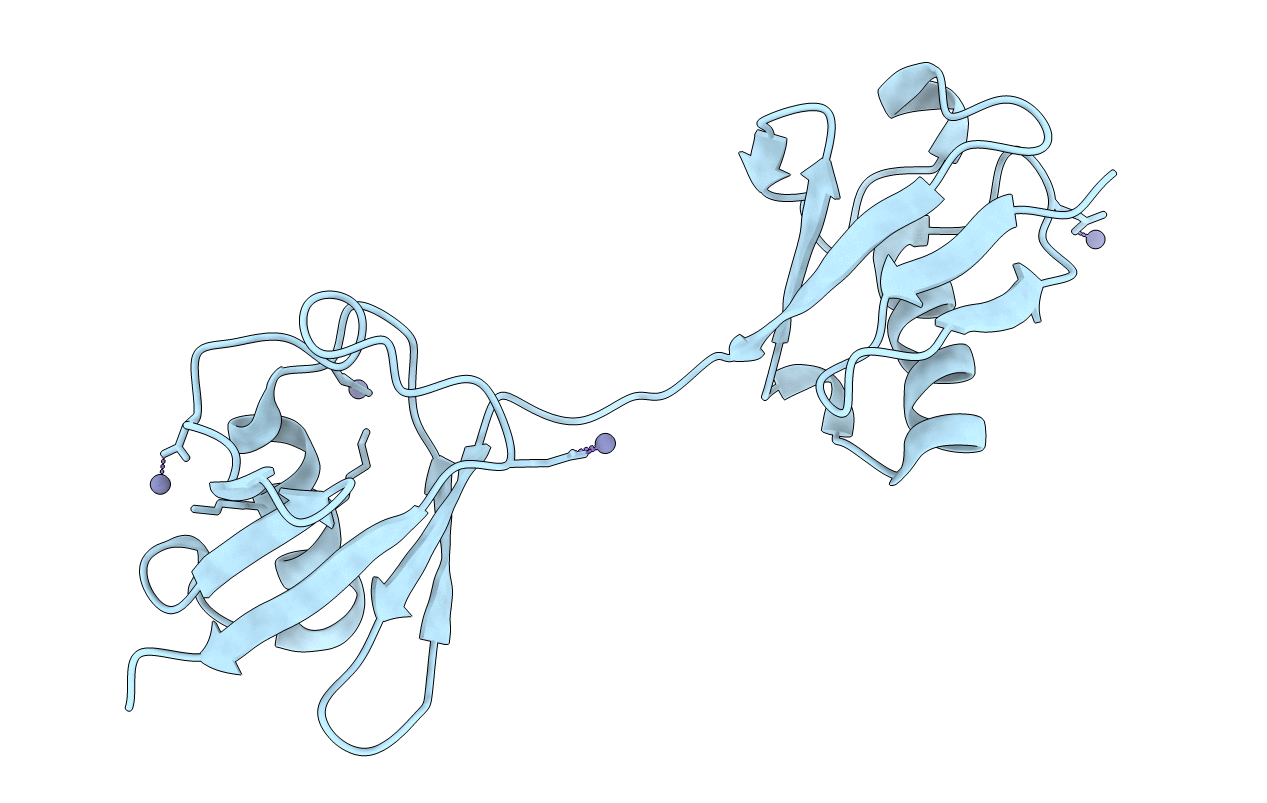2W9N image