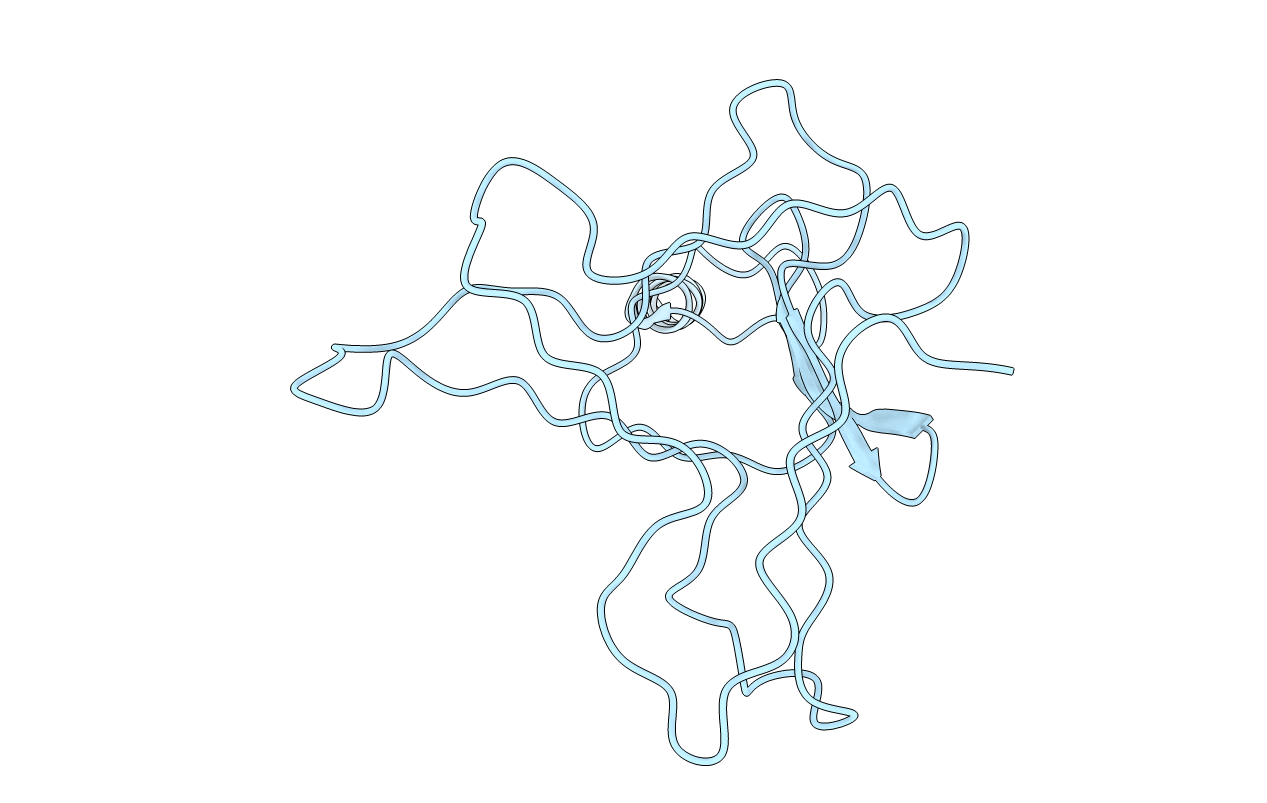 2WB3 image