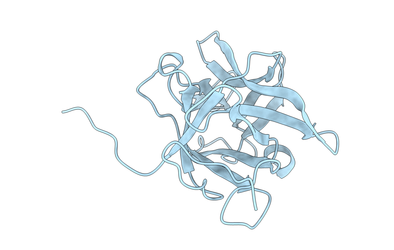 2WBC image