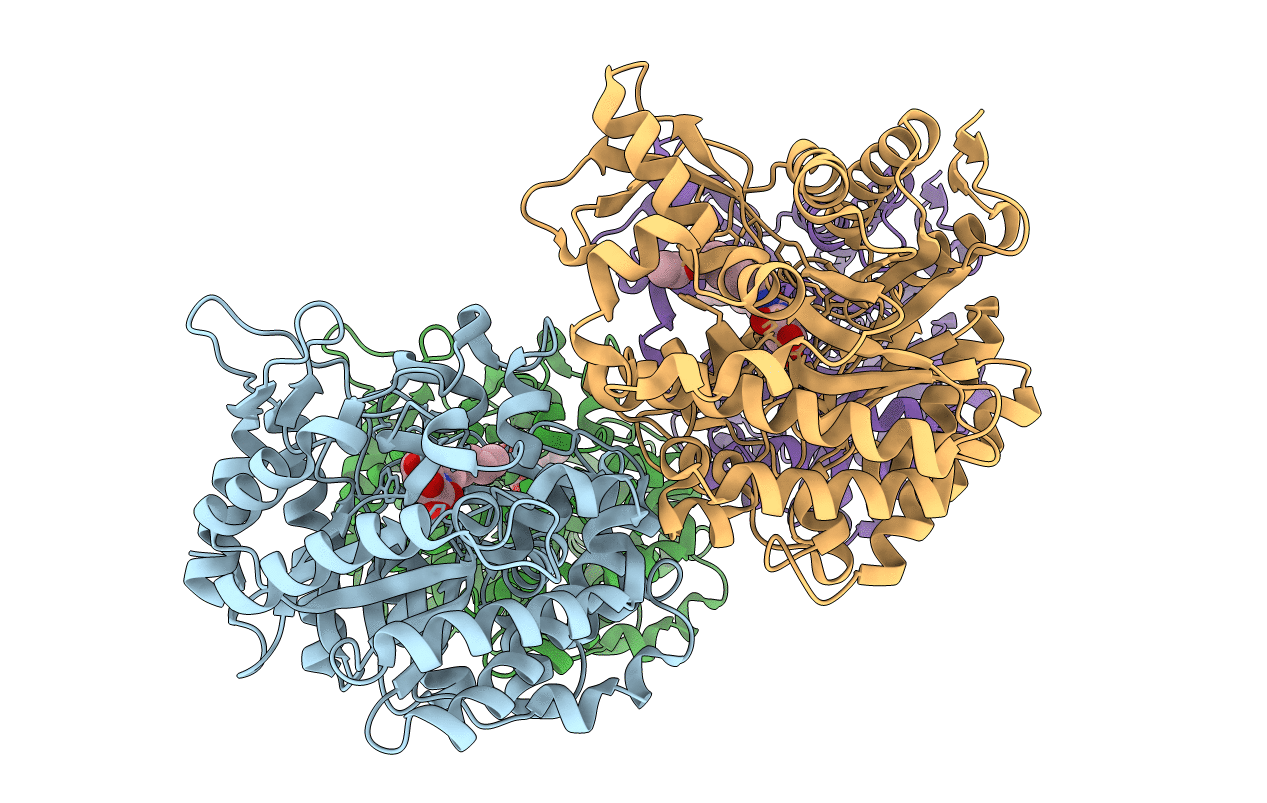 2WBG image