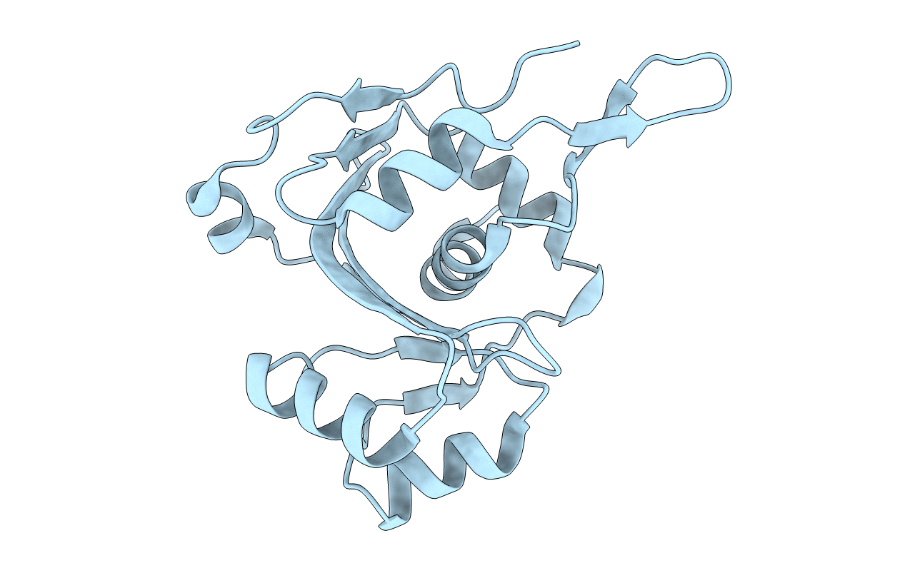 2WBN image