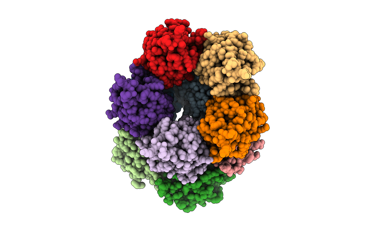 2WCV image