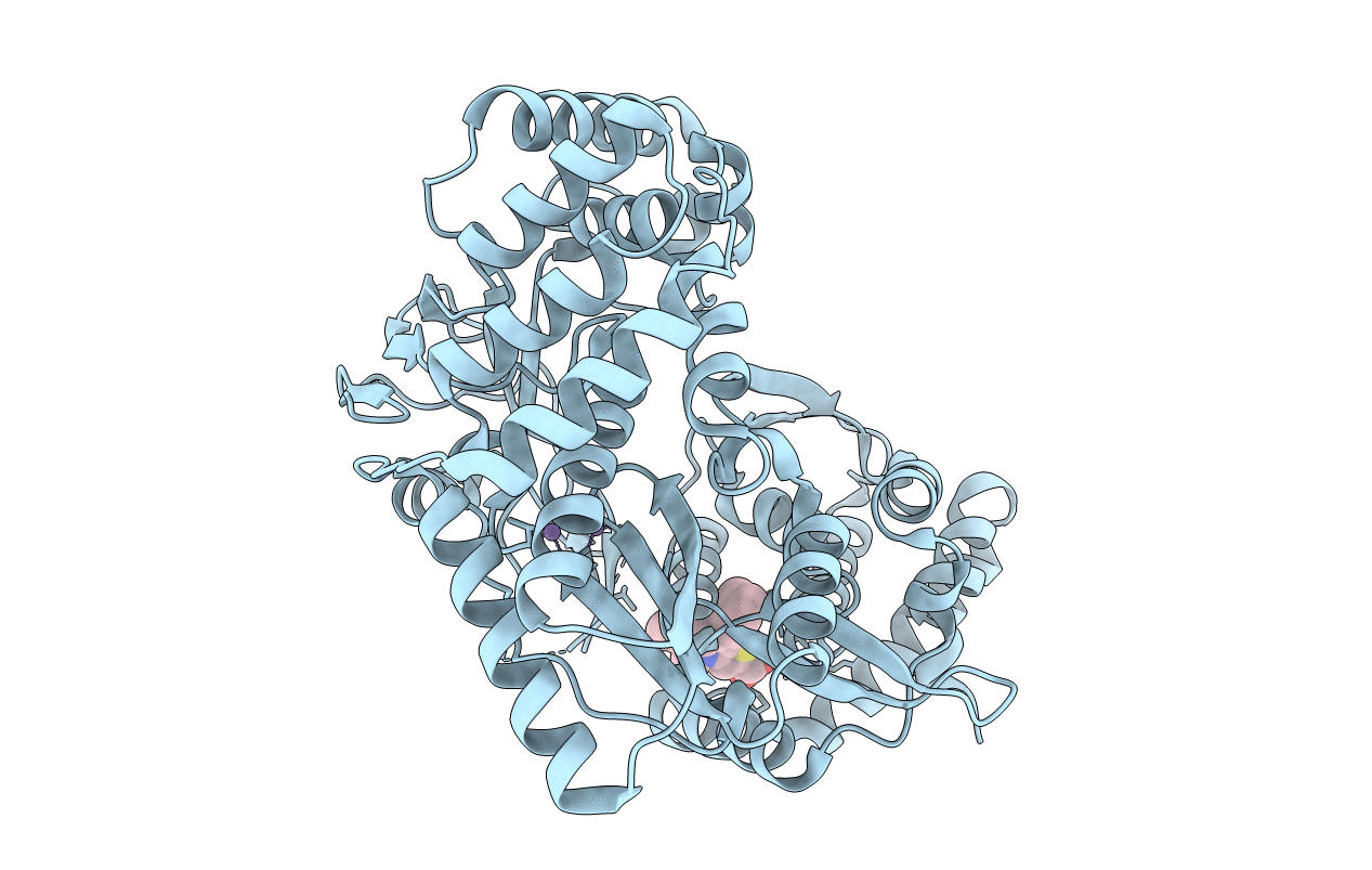 2WCX image