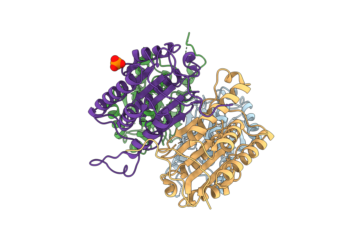 2WDP image