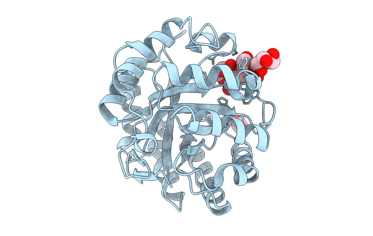 2WHL image