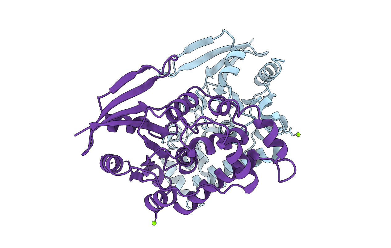 2WIA image